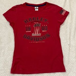 Harley Davidson Steel Horse